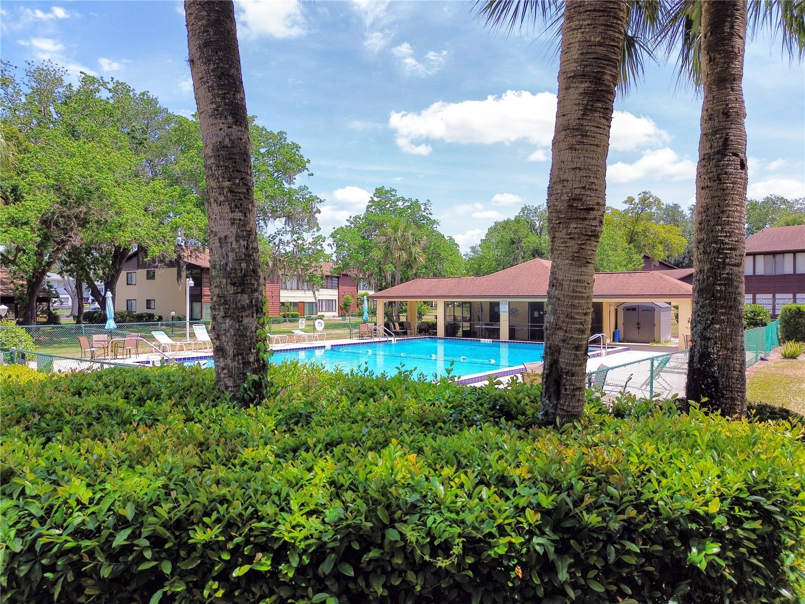 504 Silver Course #A Ocala FL 34472 OM717756 image26