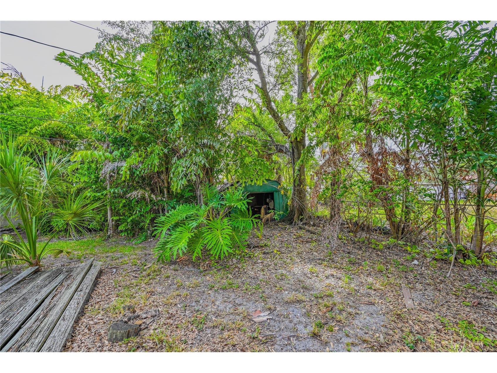 504 W Davis Boulevard Tampa FL 33606 TB8526175 image15