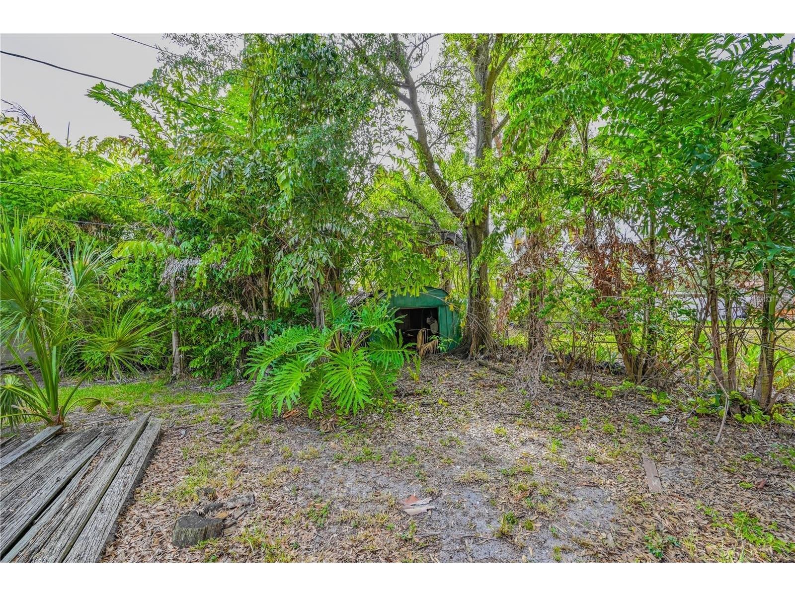 504 W Davis Boulevard Tampa FL 33606 TB8526983 image15