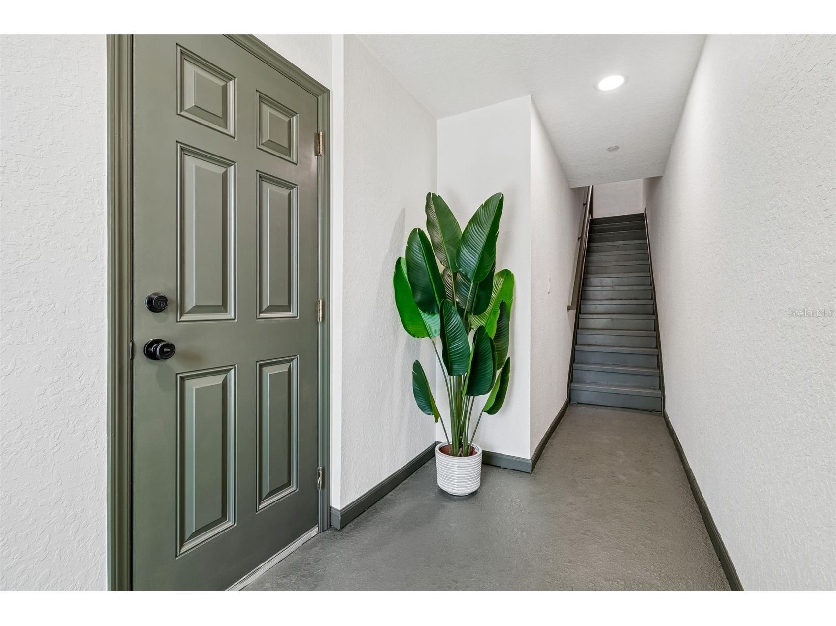 504 Wheaton Trent Place Tampa FL 33619 TB8518889 image2