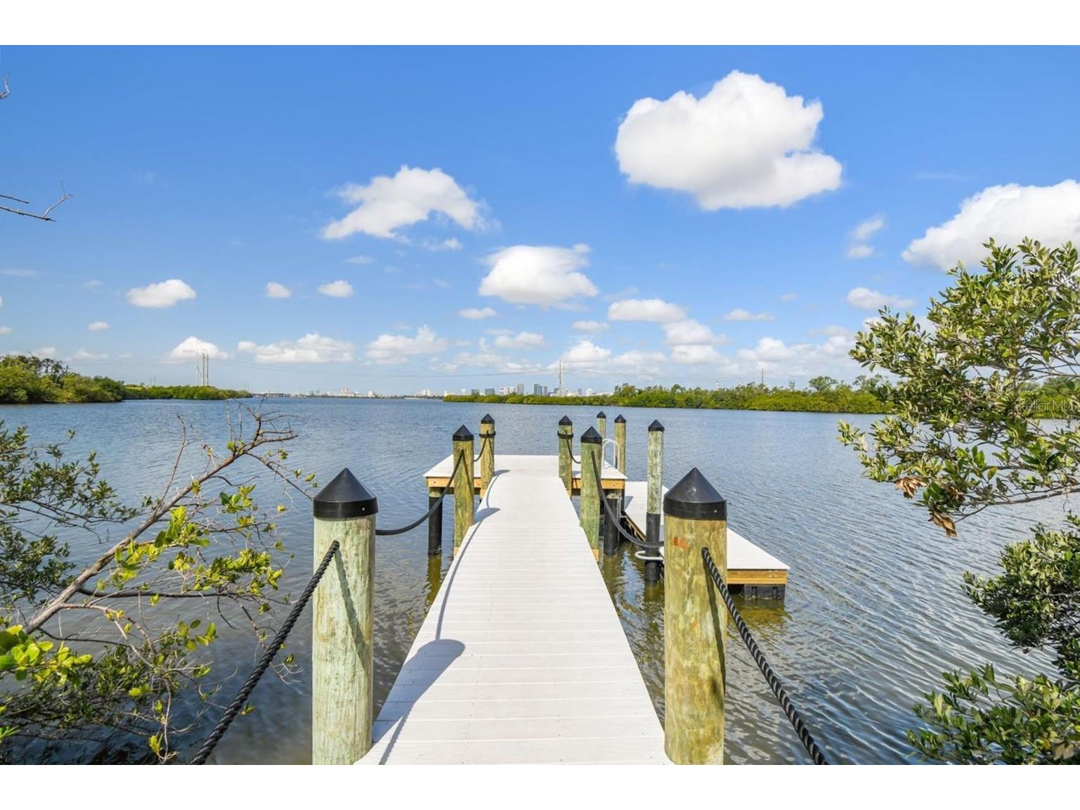 504 Wheaton Trent Place Tampa FL 33619 TB8518889 image34