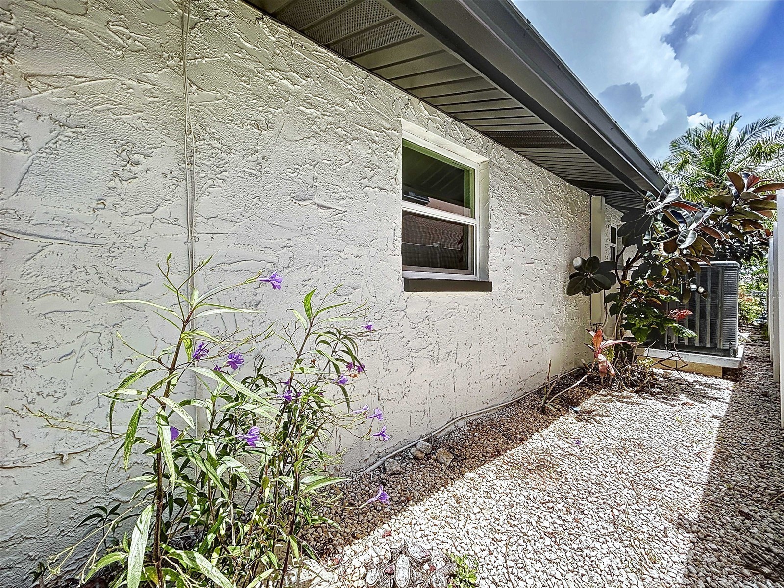 5040 Glenn Drive New Port Richey FL 34652 TB8497396 image7