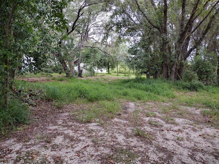 5040 Lake Lowery Road Haines City FL 33844 P4922421 image1
