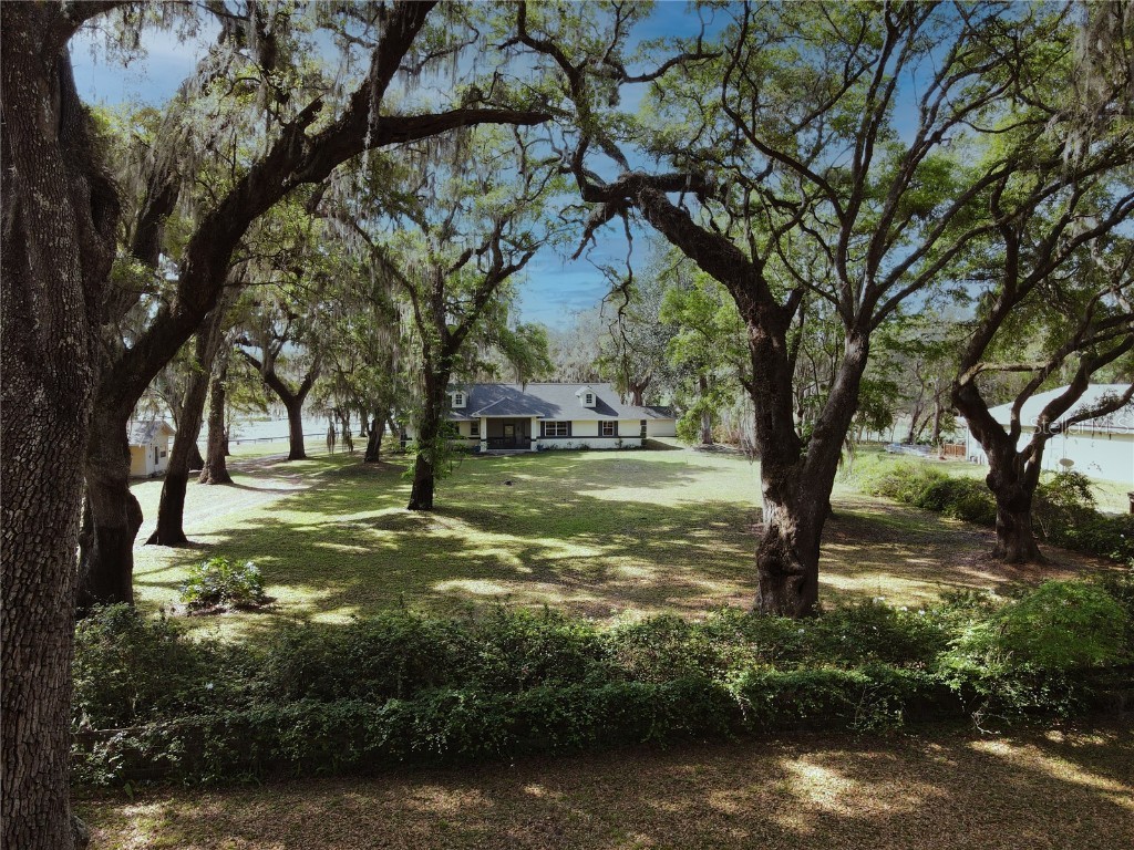 5040 NE 132nd Place Anthony FL 32617 OM675065 image1