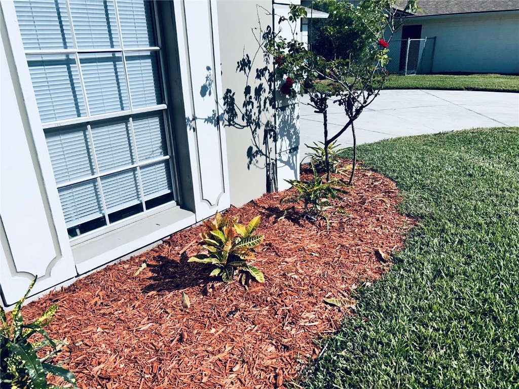 5041 Andrea Boulevard Orlando FL 32807 O6361911 image21