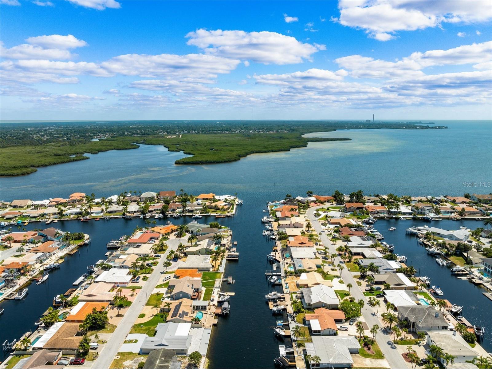 5041 Cabrilla Court New Port Richey FL 34652 TB8478175 image4