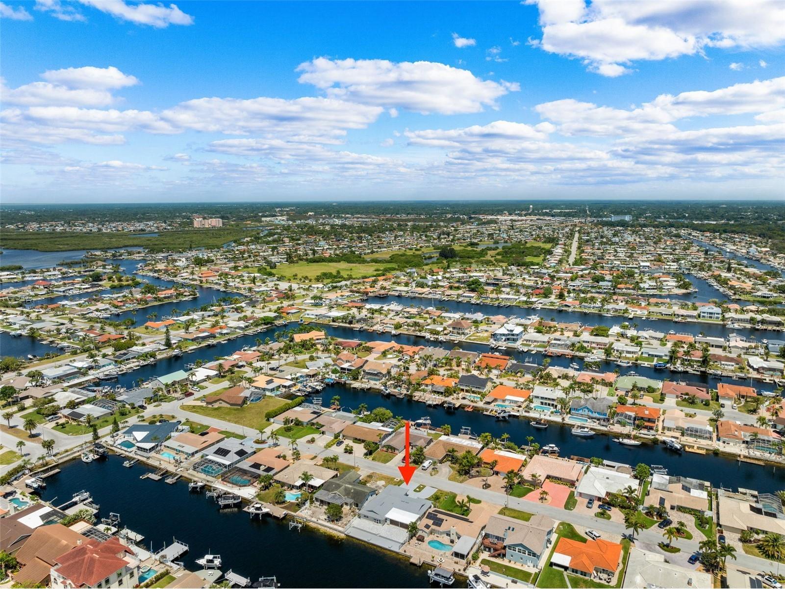 5041 Cabrilla Court New Port Richey FL 34652 TB8478175 image41