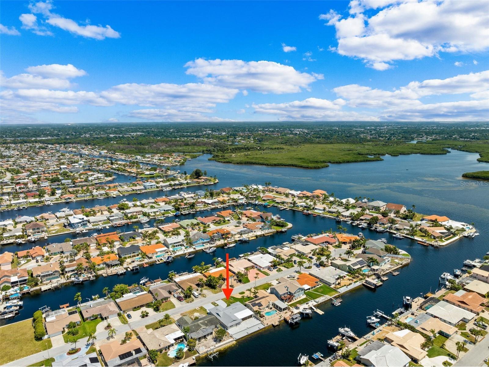 5041 Cabrilla Court New Port Richey FL 34652 TB8478175 image42