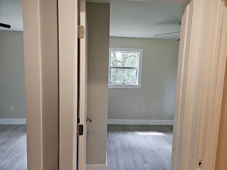 5041 Olive Avenue Bunnell FL 32110 S5142177 image15