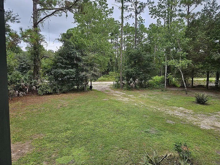 5041 Olive Avenue Bunnell FL 32110 S5142177 image7