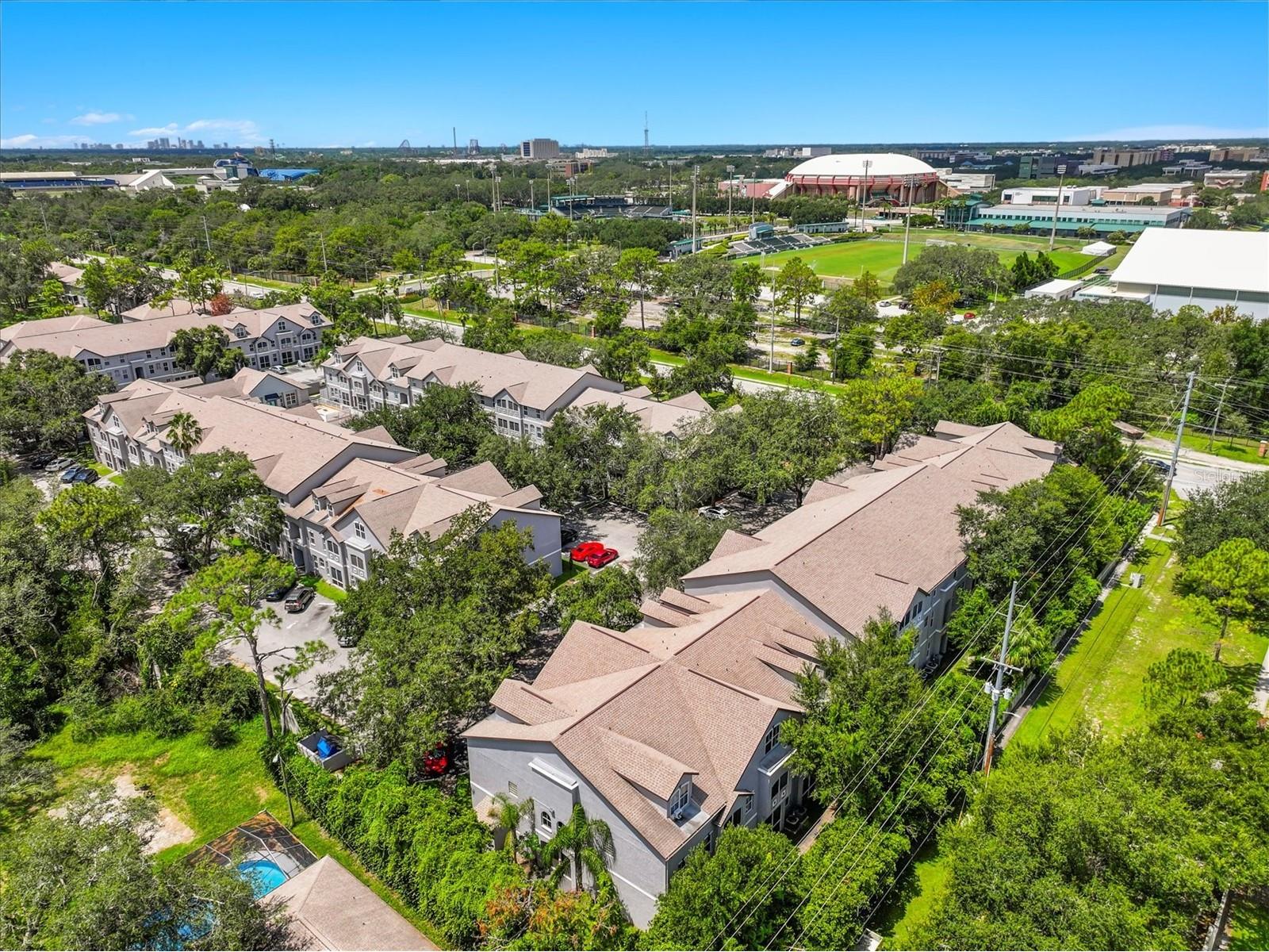 5041 Sunridge Palms Drive #103 Tampa FL 33617 TB8338291 image43