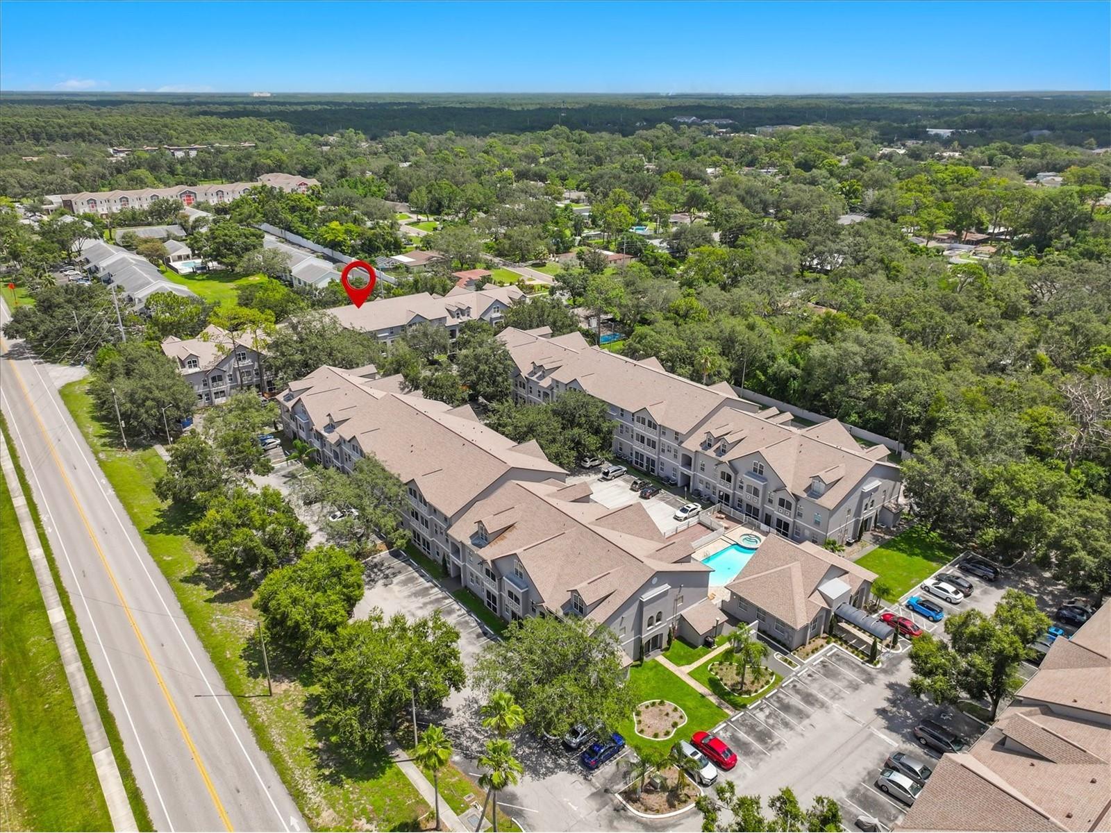 5041 Sunridge Palms Drive #103 Tampa FL 33617 TB8338291 image47