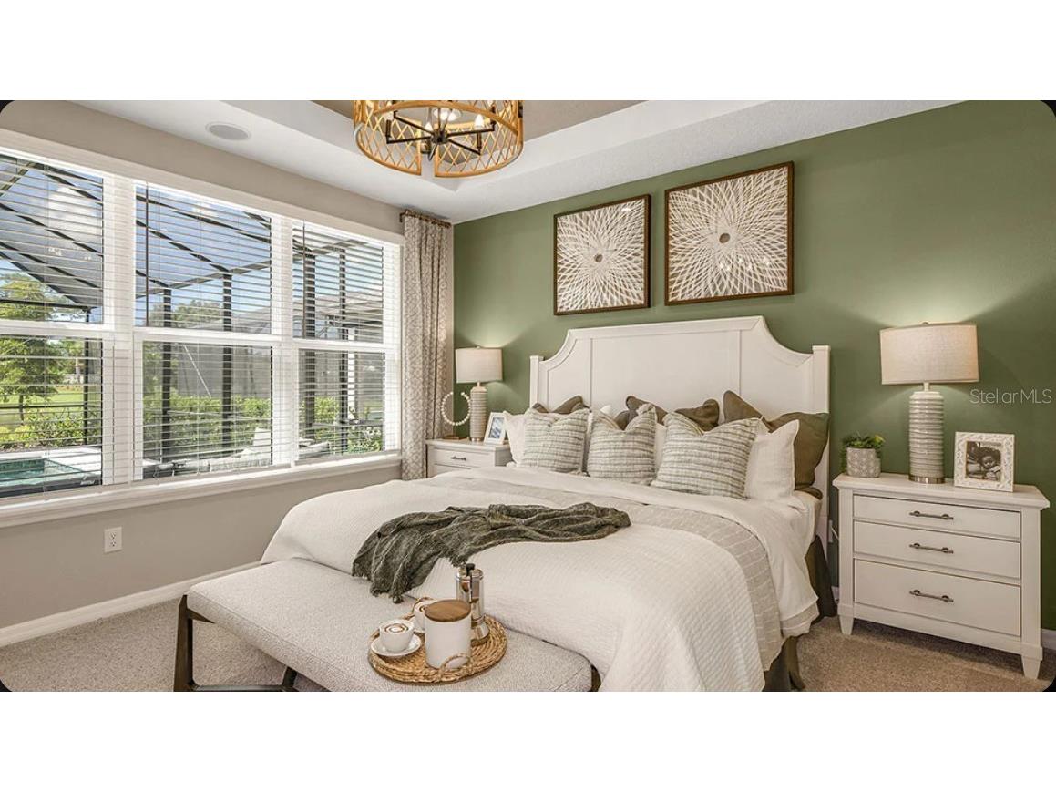5042 Cyan Loop Apollo Beach FL 33572 TB8527311 image12