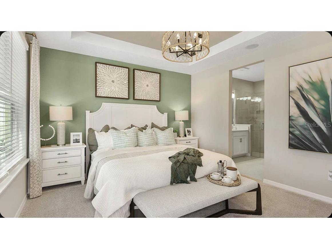 5042 Cyan Loop Apollo Beach FL 33572 TB8527311 image13