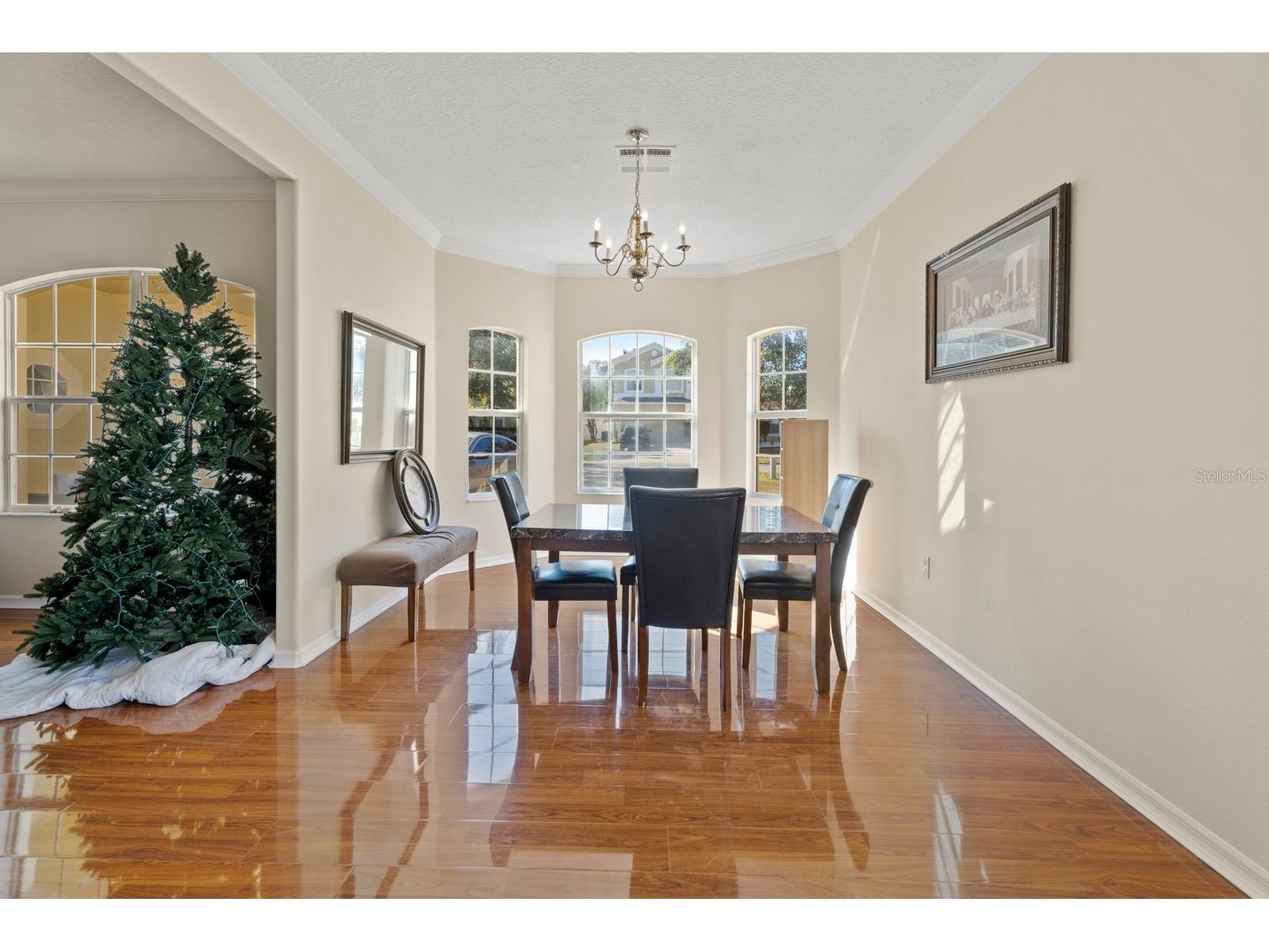 5042 Rishley Run Way Mount Dora FL 32757 O6374728 image10