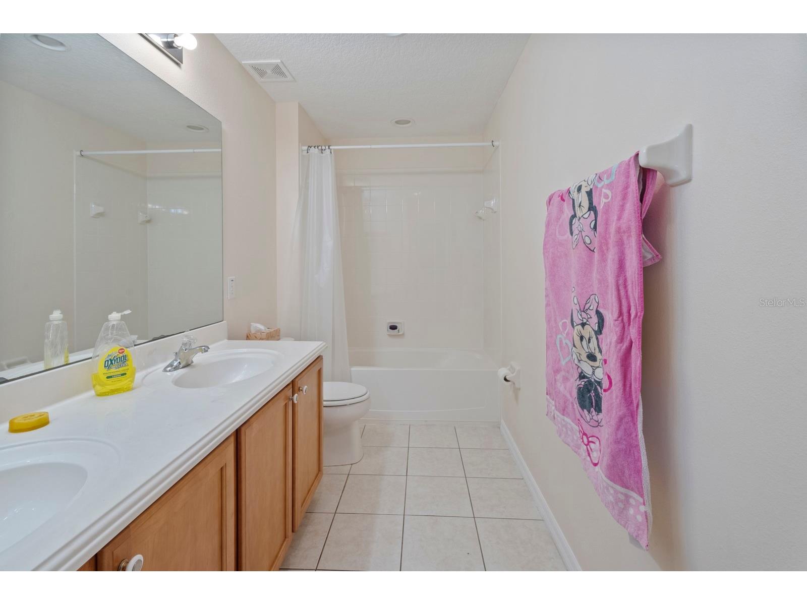 5042 Rishley Run Way Mount Dora FL 32757 O6374728 image24