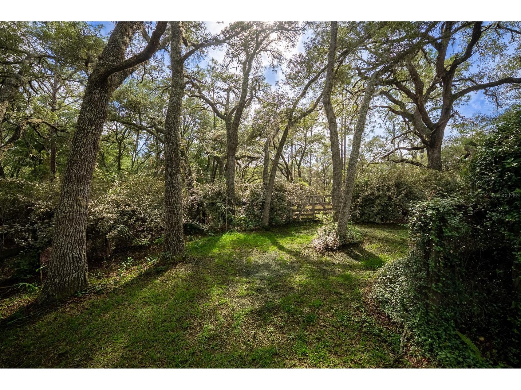 5042 SW 166th Court Road Ocala FL 34481 OM725516 image69