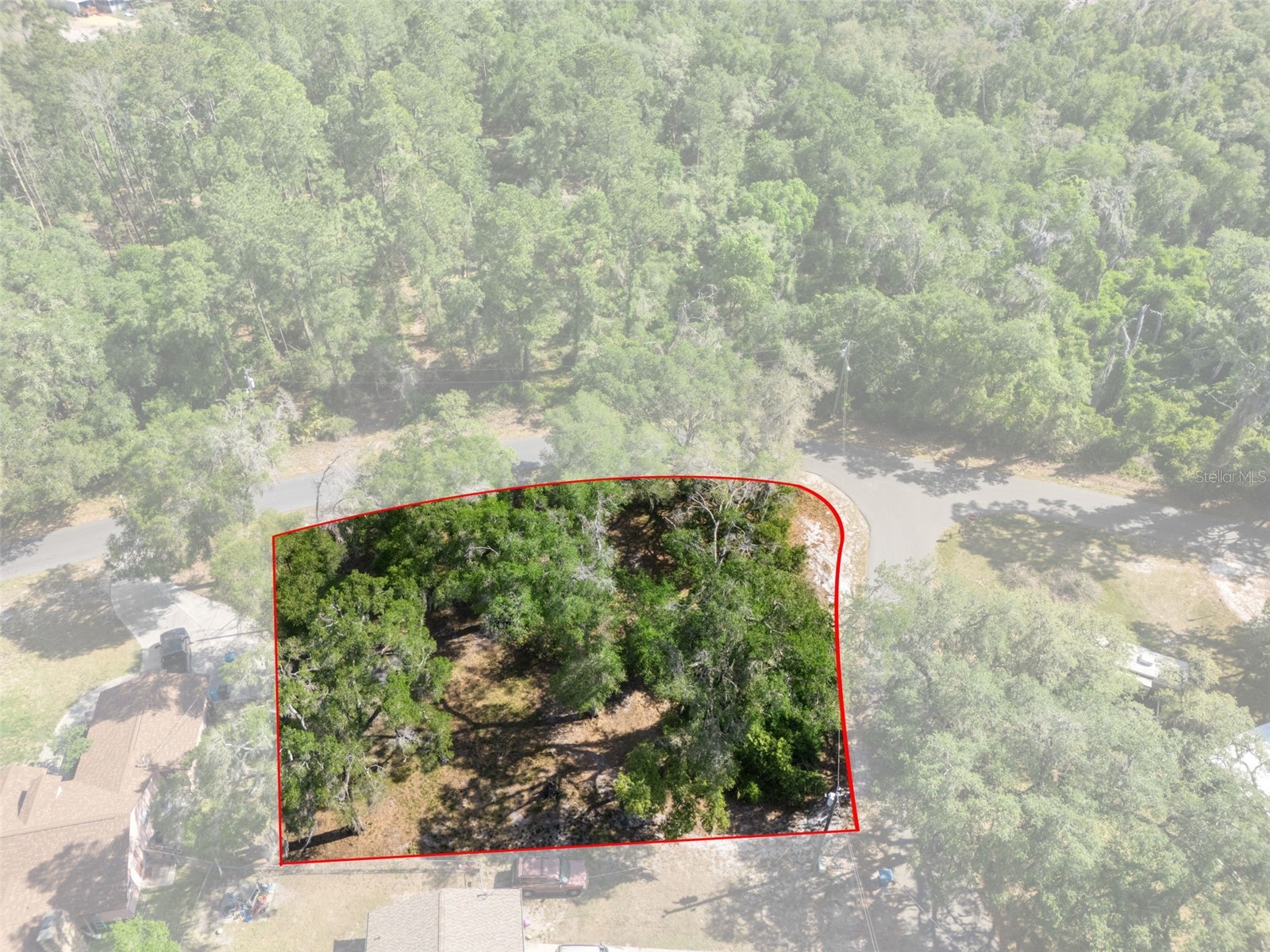 5043 Cardinal Drive Dade City FL 33523 W7884927 image10