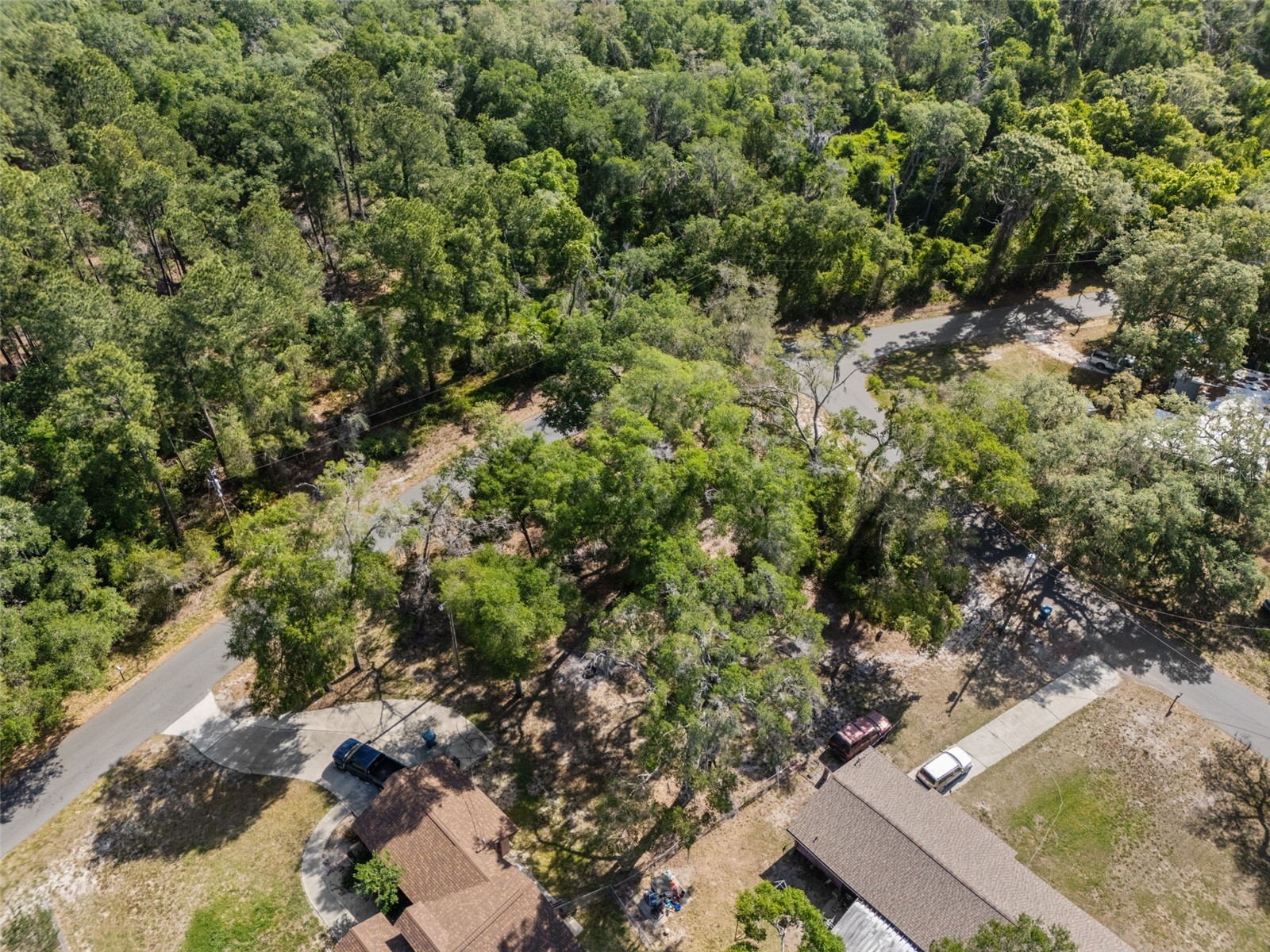 5043 Cardinal Drive Dade City FL 33523 W7884927 image11