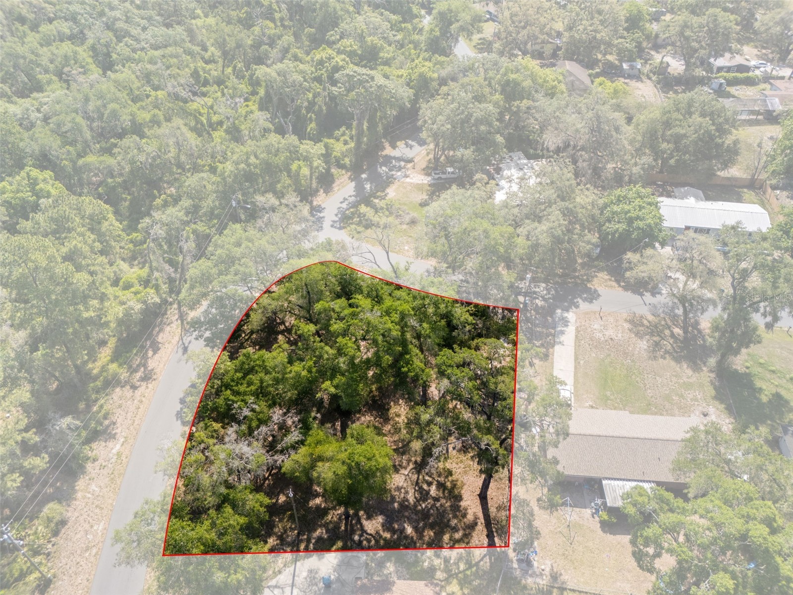 5043 Cardinal Drive Dade City FL 33523 W7884927 image13