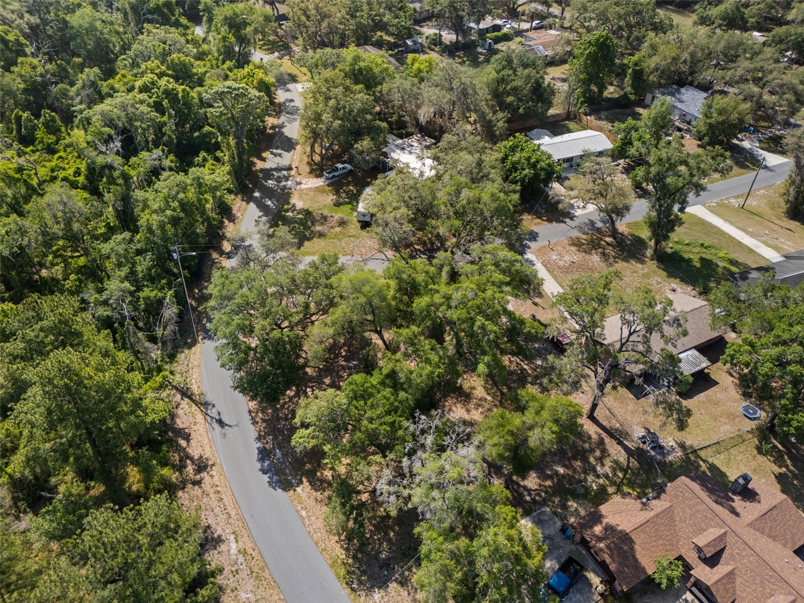5043 Cardinal Drive Dade City FL 33523 W7884927 image14