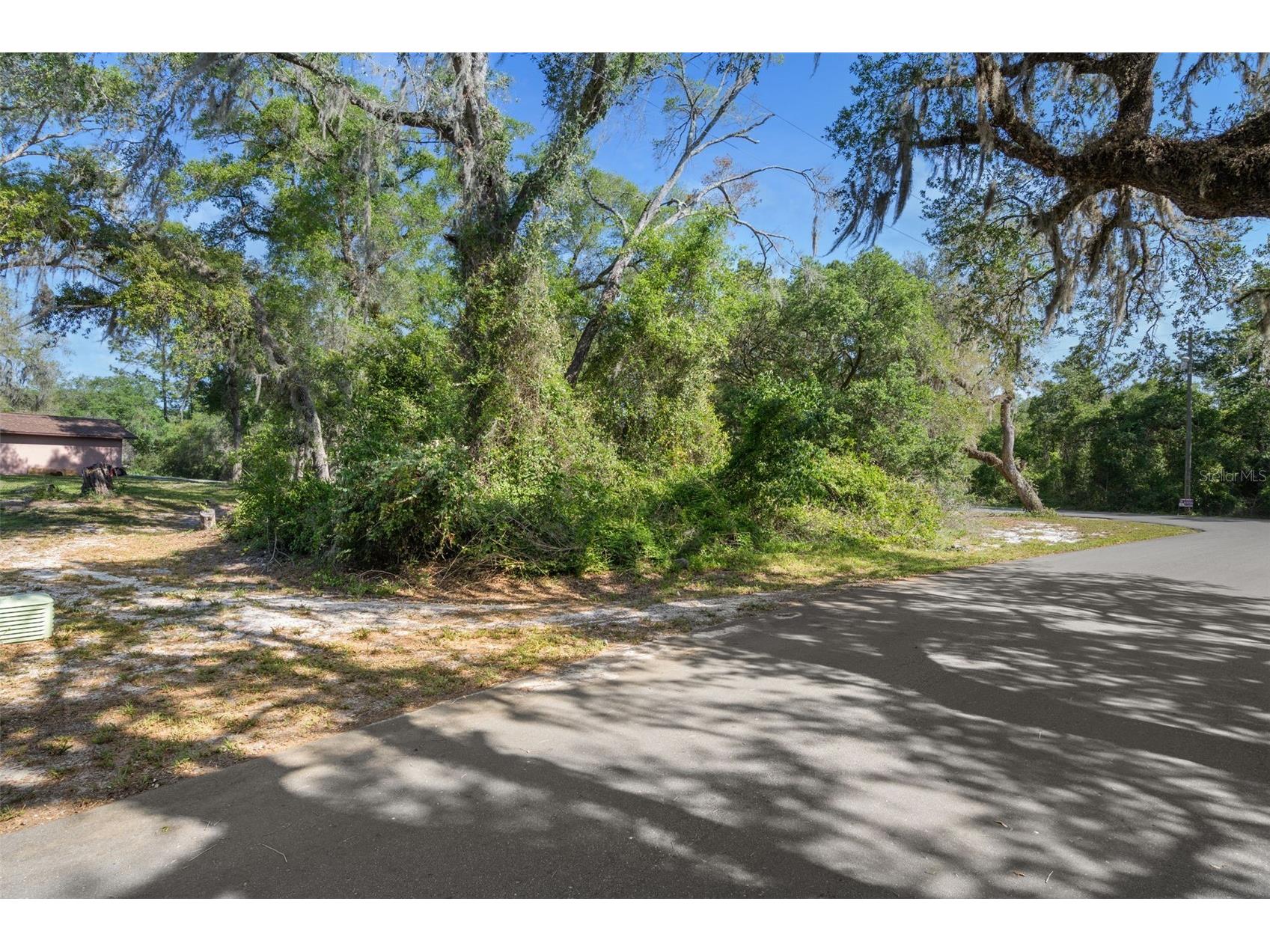 5043 Cardinal Drive Dade City FL 33523 W7884927 image15