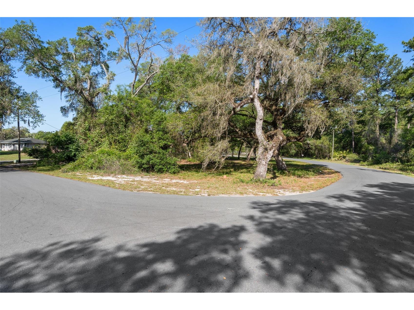 5043 Cardinal Drive Dade City FL 33523 W7884927 image3
