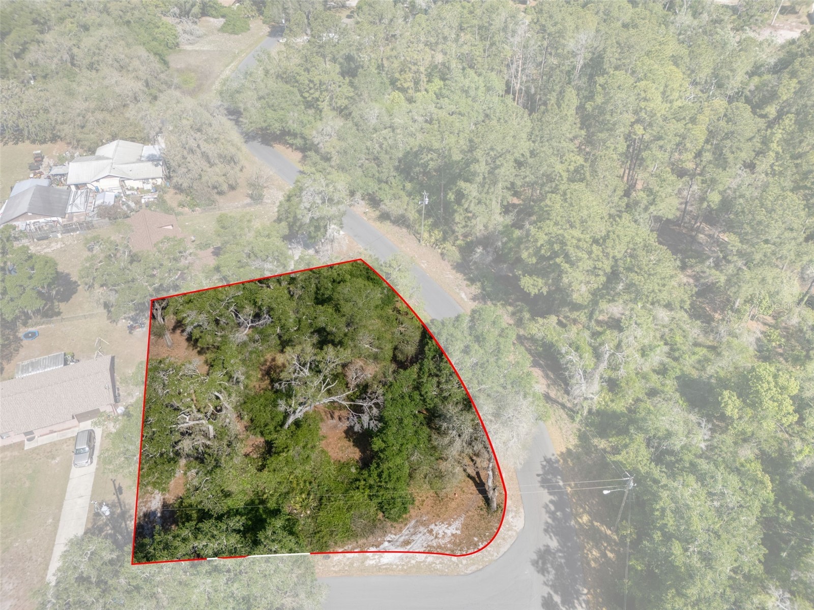 5043 Cardinal Drive Dade City FL 33523 W7884927 image6