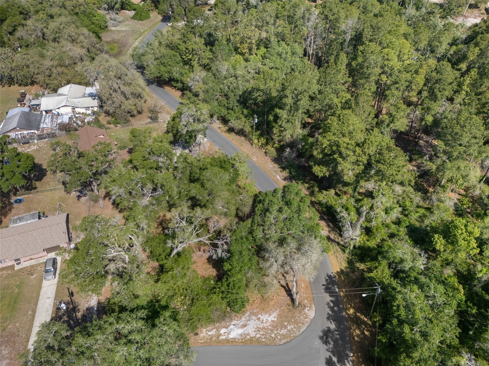 5043 Cardinal Drive Dade City FL 33523 W7884927 image7