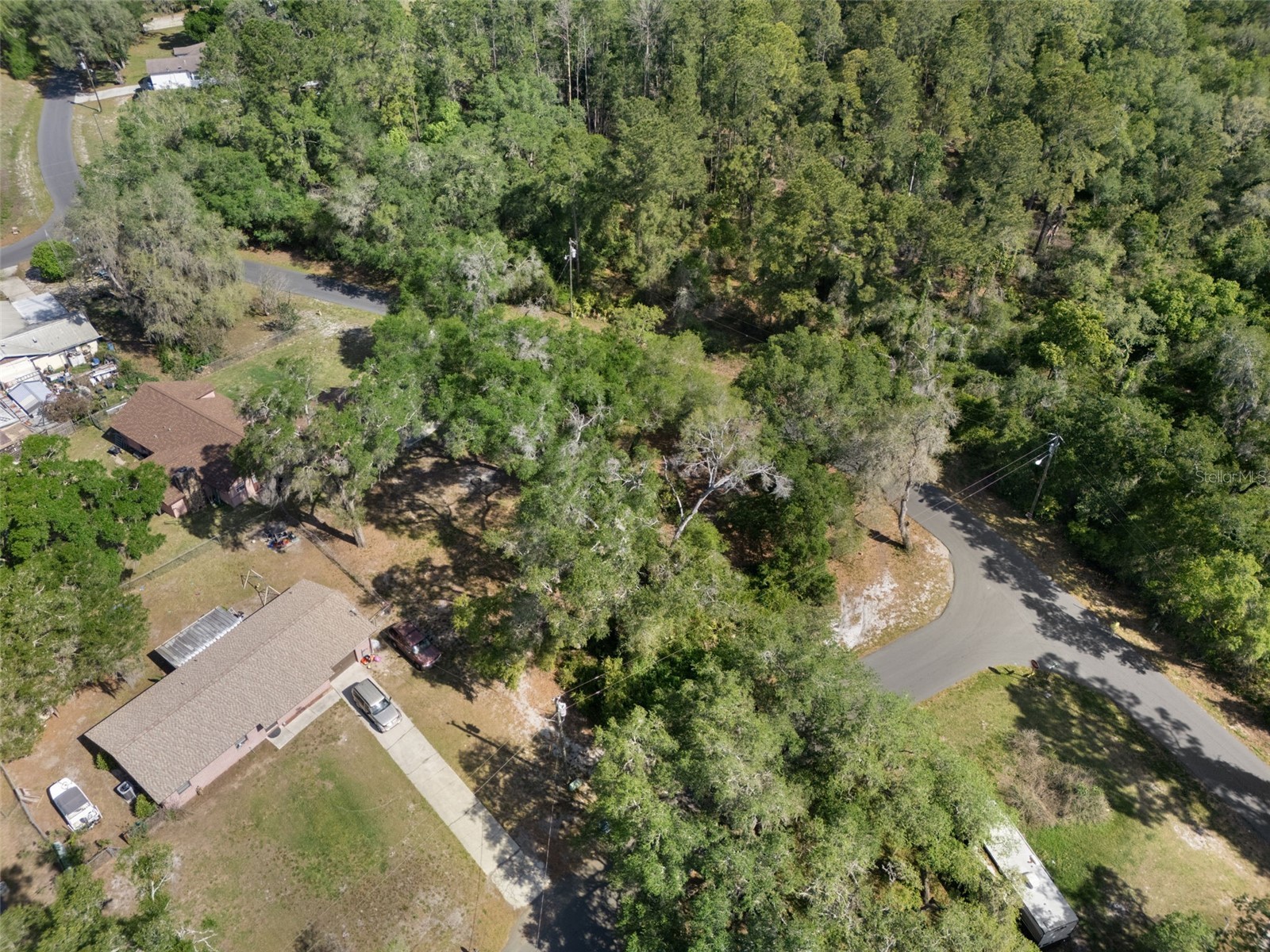 5043 Cardinal Drive Dade City FL 33523 W7884927 image8
