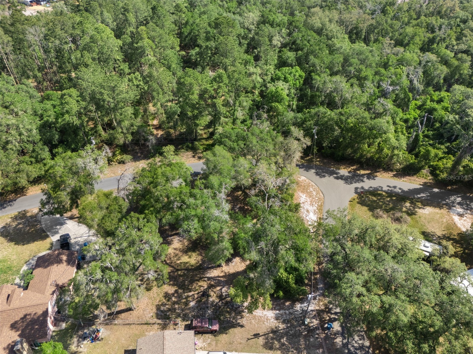 5043 Cardinal Drive Dade City FL 33523 W7884927 image9