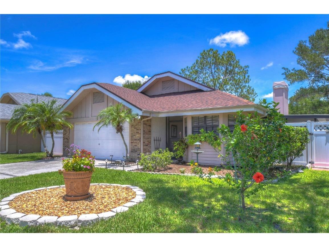 5043 Cypress Trace Drive Tampa FL 33624 T3451723 image1