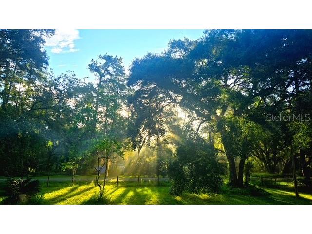 5043 Goodwin Road Brooksville FL 34601 W7880904 image3