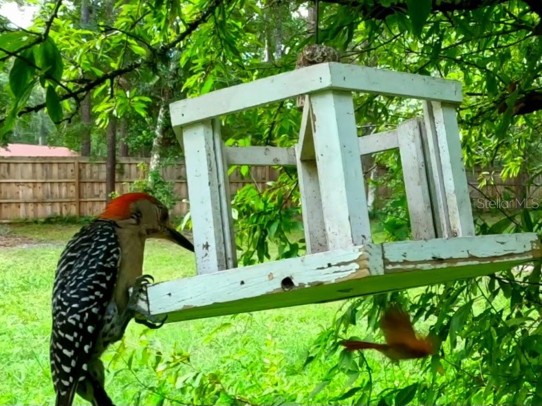 5043 Goodwin Road Brooksville FL 34601 W7880904 image34