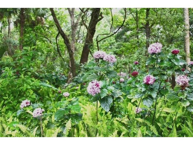 5043 Goodwin Road Brooksville FL 34601 W7880904 image39