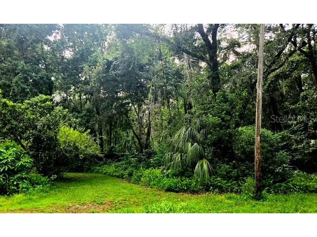 5043 Goodwin Road Brooksville FL 34601 W7880904 image40