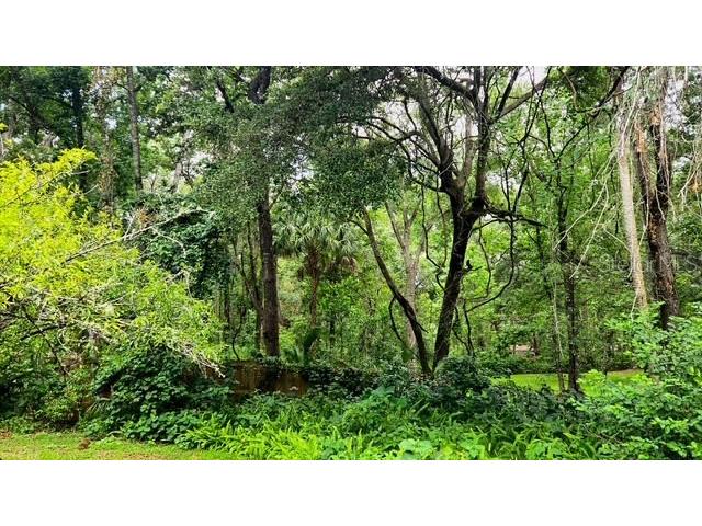 5043 Goodwin Road Brooksville FL 34601 W7880904 image41