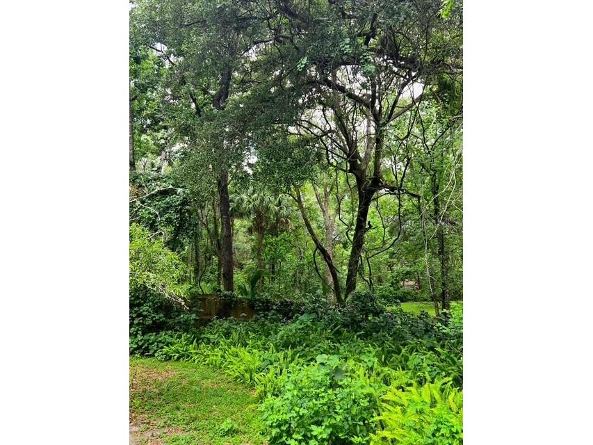 5043 Goodwin Road Brooksville FL 34601 W7880904 image42