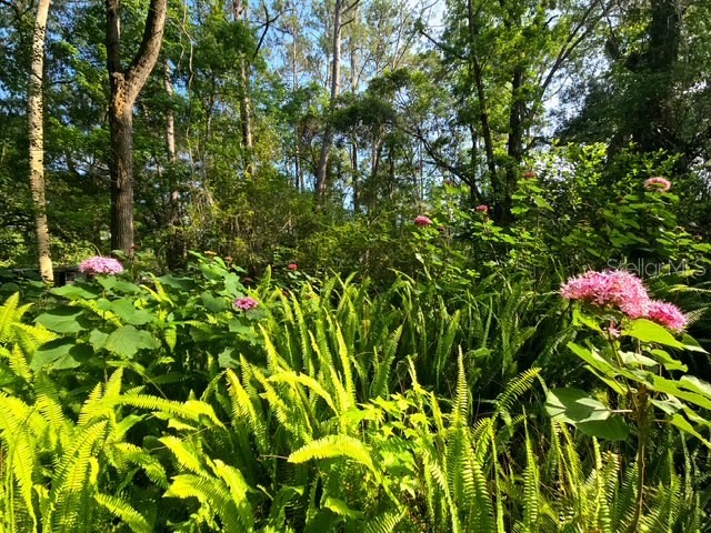 5043 Goodwin Road Brooksville FL 34601 W7880904 image45