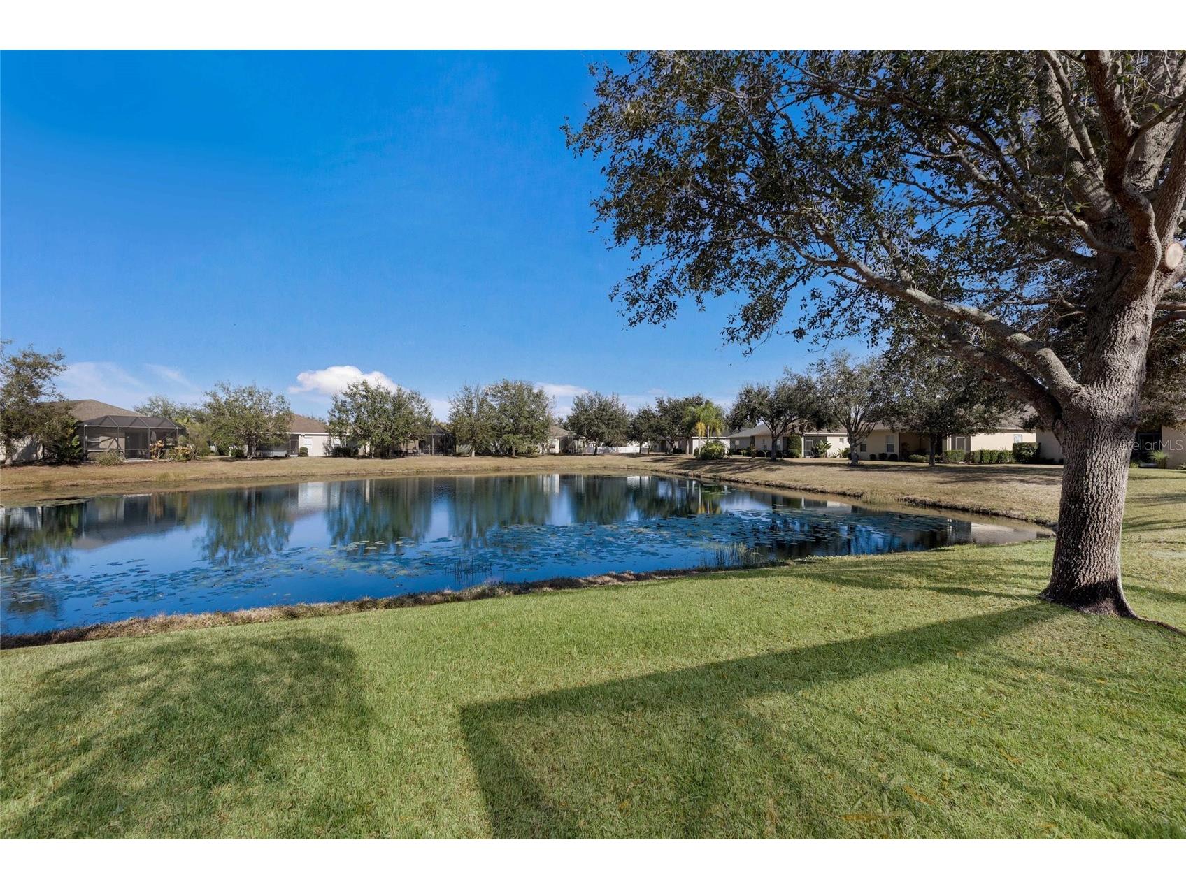 5043 Newport News Circle Bradenton FL 34211 - CENTRAL PARK POND A4675724 image30