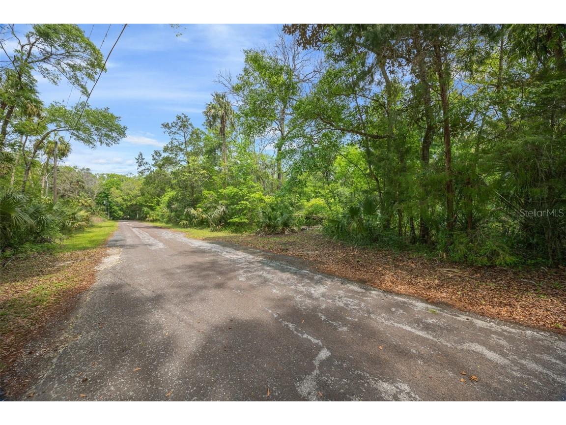 5043 S Palo Verde Point Homosassa FL 34448 OM699088 image10