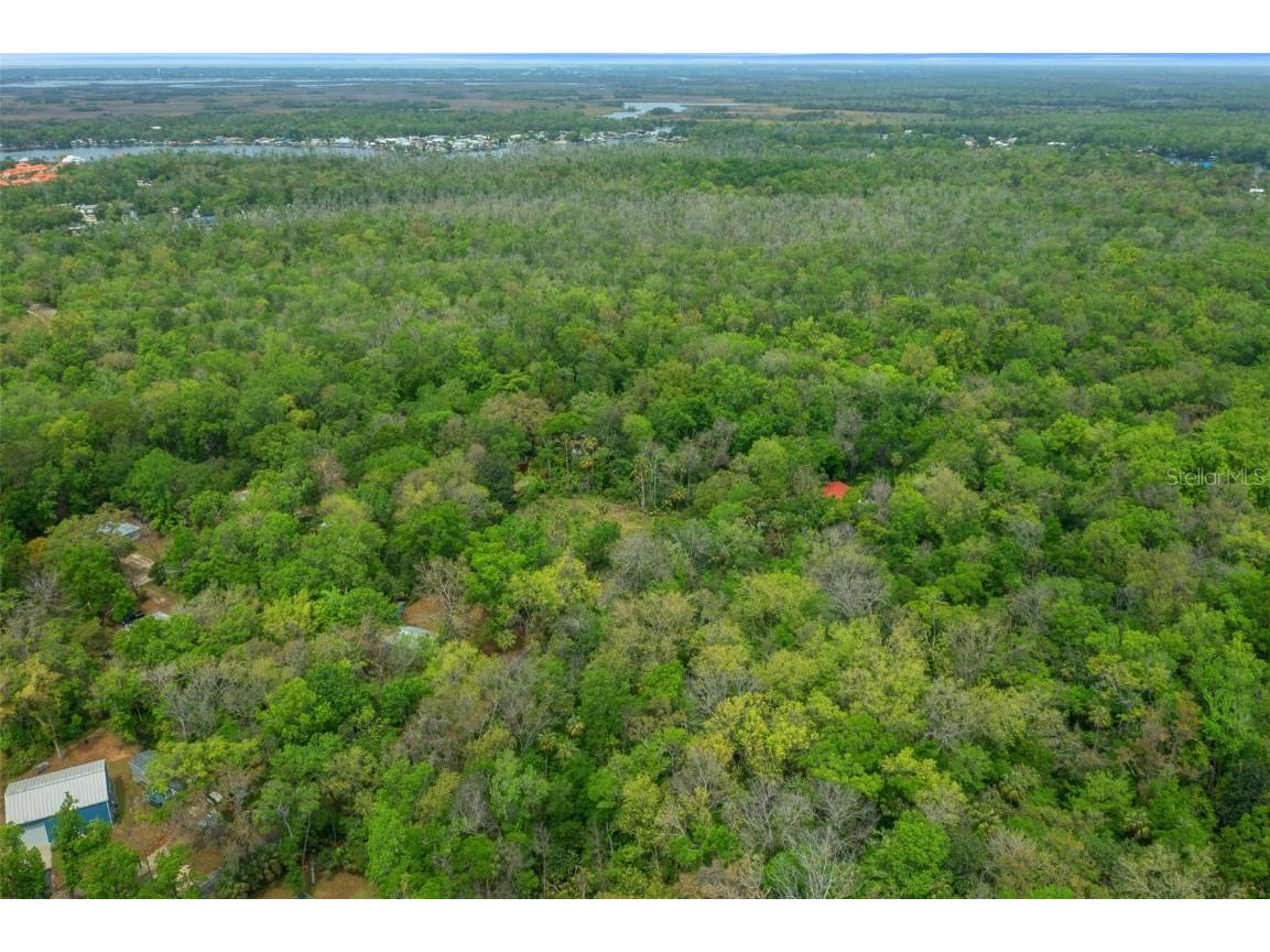 5043 S Palo Verde Point Homosassa FL 34448 OM699088 image12