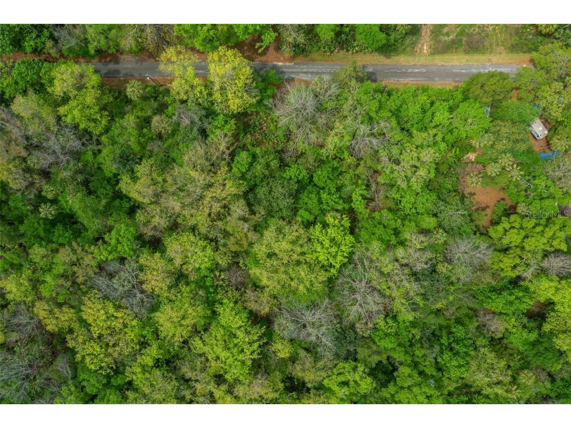 5043 S Palo Verde Point Homosassa FL 34448 OM699088 image14