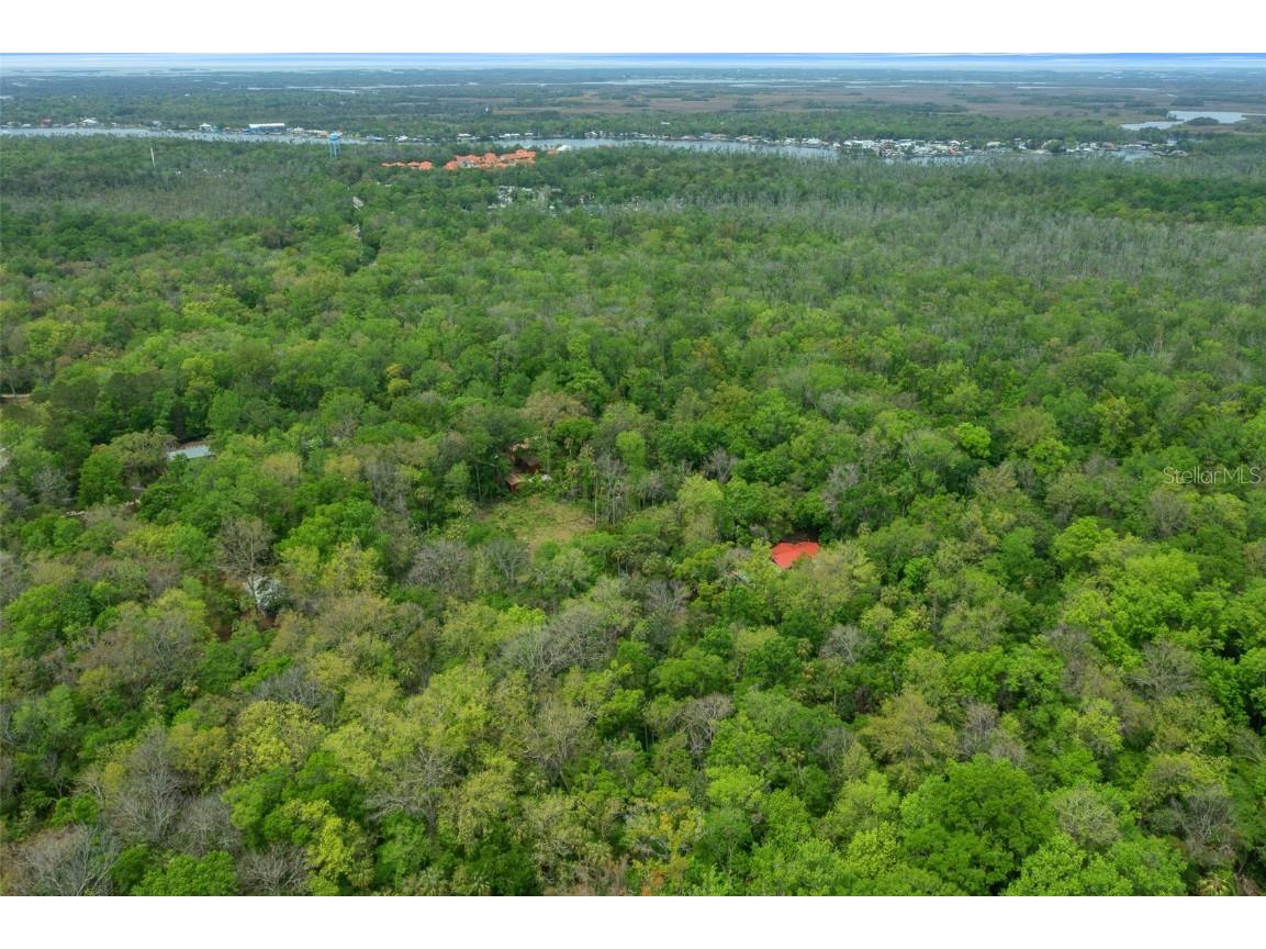 5043 S Palo Verde Point Homosassa FL 34448 OM699088 image17