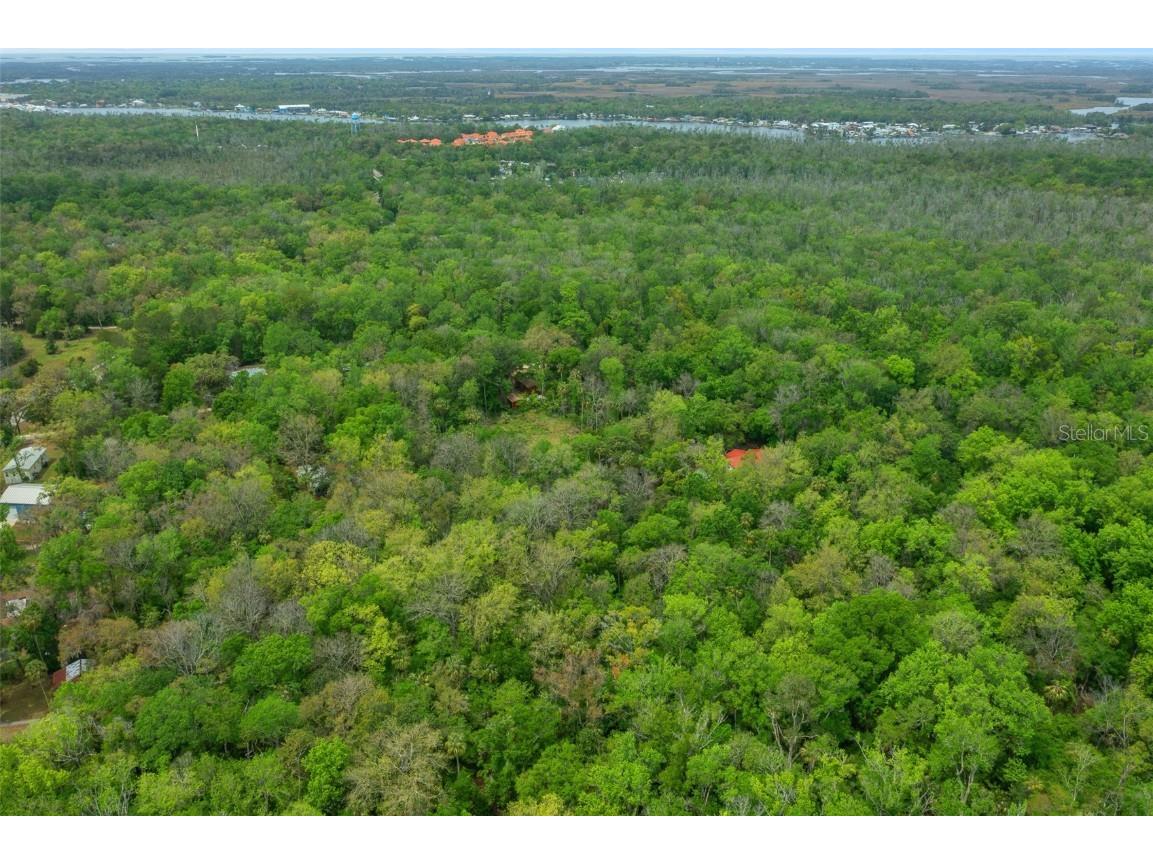 5043 S Palo Verde Point Homosassa FL 34448 OM699088 image18