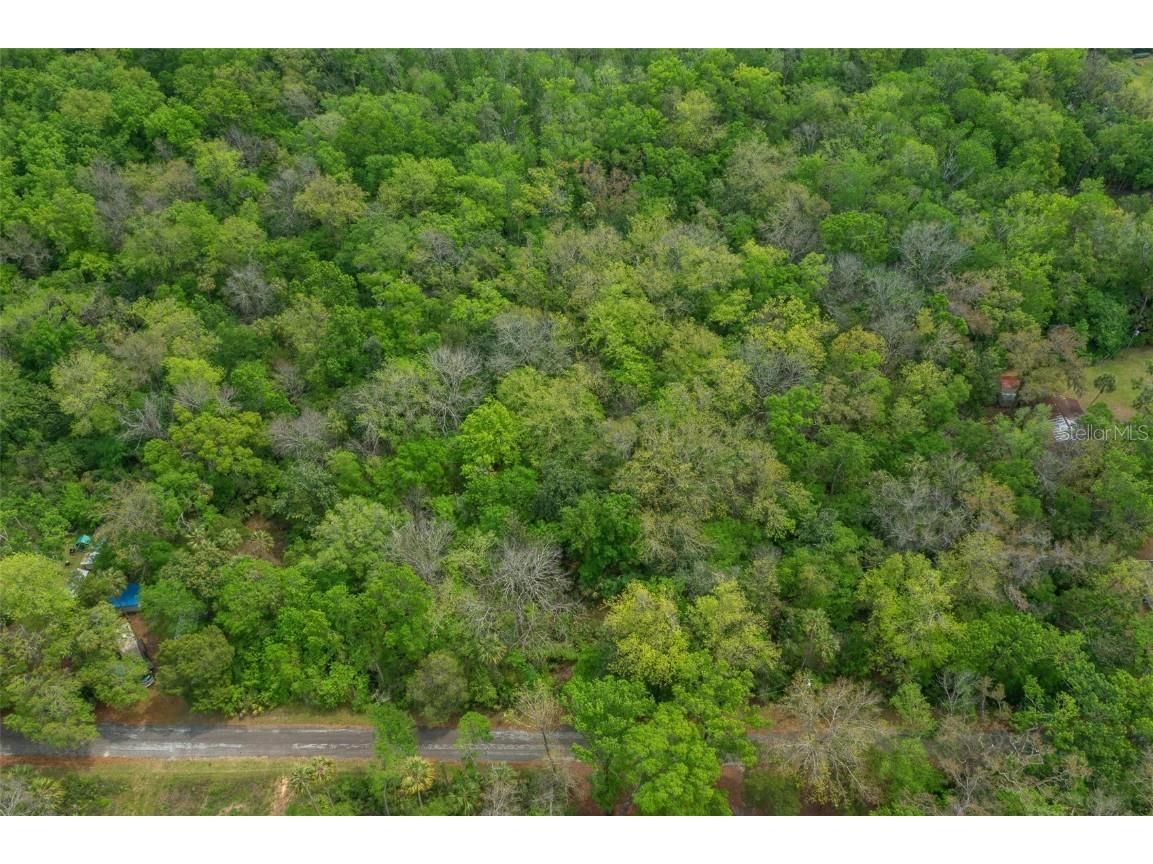 5043 S Palo Verde Point Homosassa FL 34448 OM699088 image19