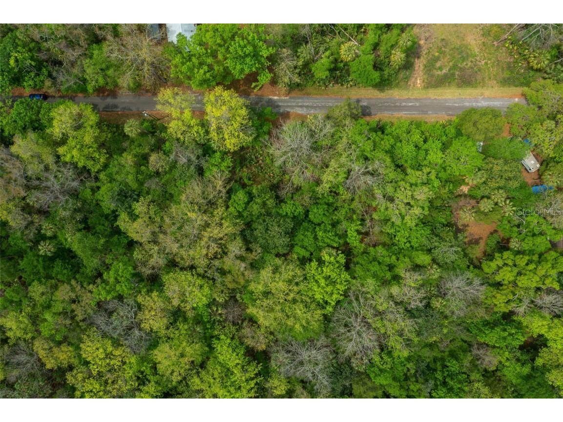 5043 S Palo Verde Point Homosassa FL 34448 OM699088 image2