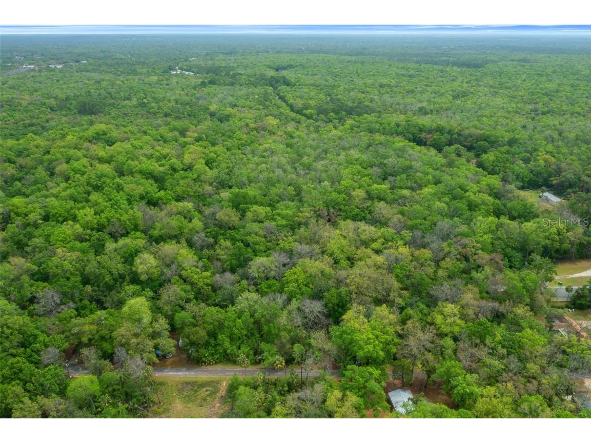 5043 S Palo Verde Point Homosassa FL 34448 OM699088 image20