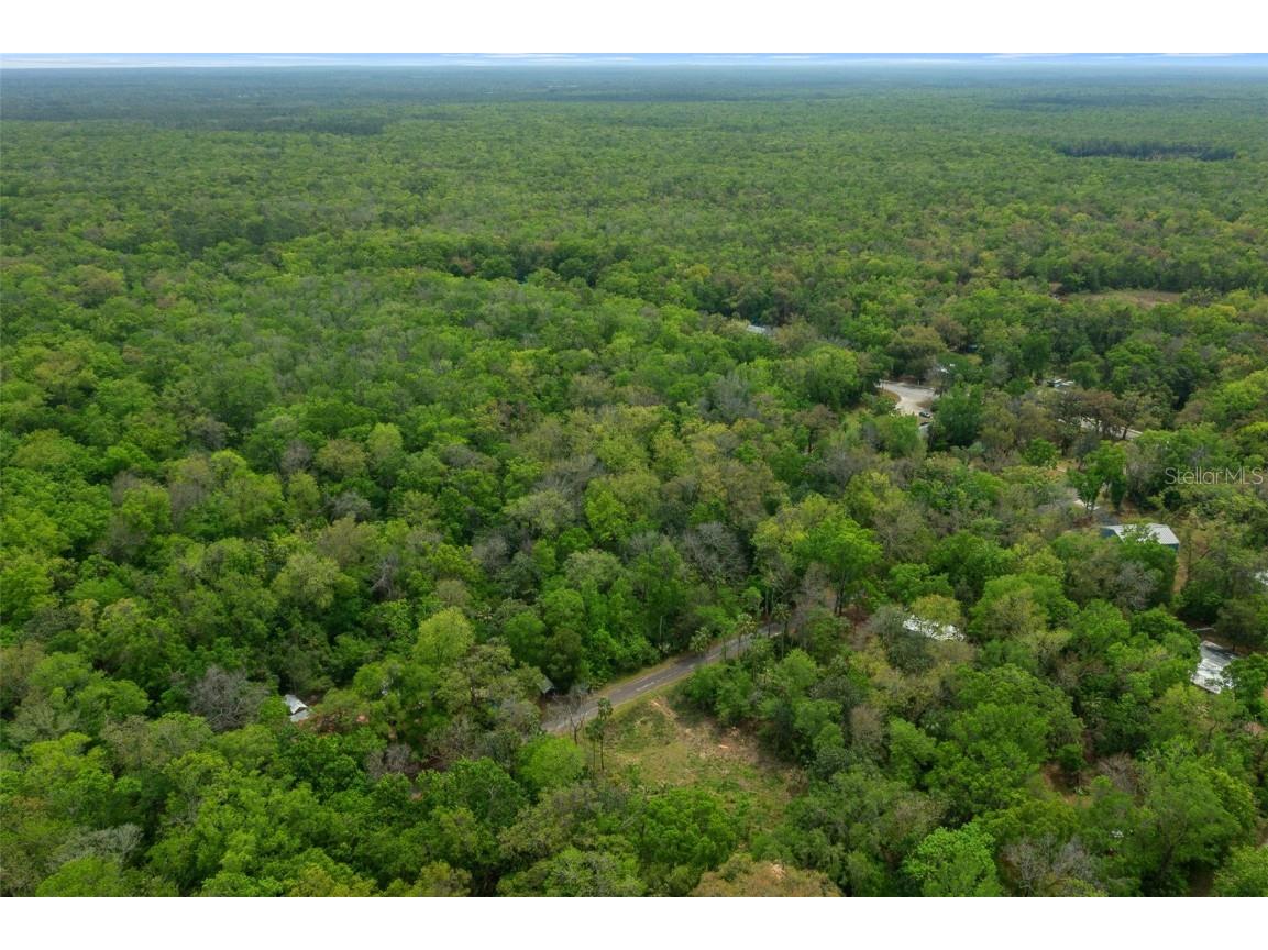 5043 S Palo Verde Point Homosassa FL 34448 OM699088 image26