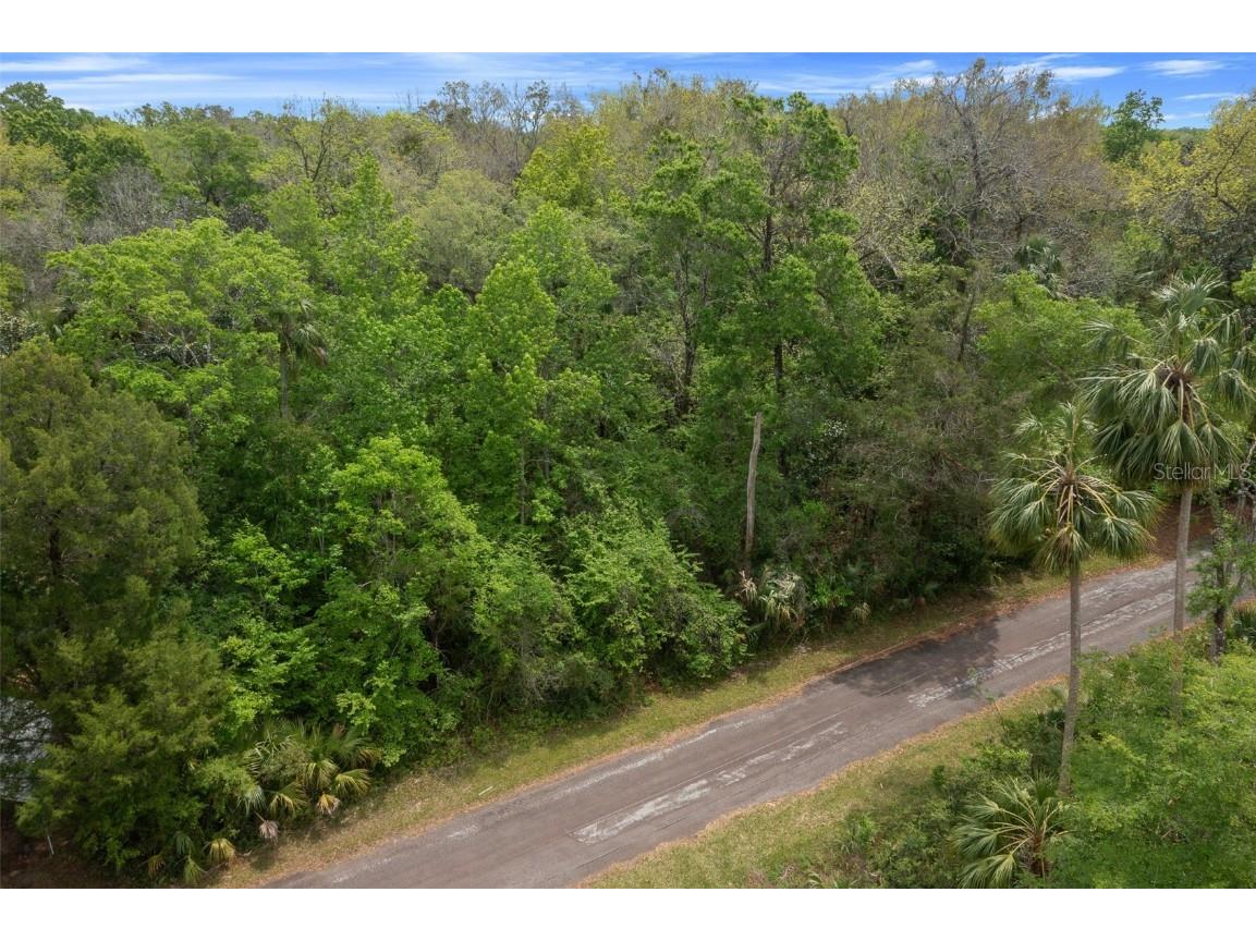 5043 S Palo Verde Point Homosassa FL 34448 OM699088 image27